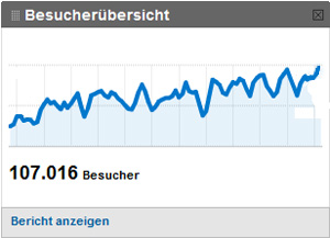 Suchmaschinenoptimierung SEO Achern